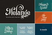 WHOLE SHOP FONT BUNDLE, a Serif Font by Calamar Studio (Thumbnail 24 of 33)