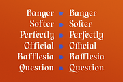 Diences Display Blackletter Font, a Blackletter Font by Typetemp Studio (Thumbnail 11 of 19)