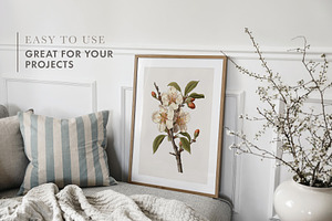 Spring Picture Frames & Card Mockups