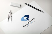 Diamond Fly Travel Logo, a Branding & Logo Template by Design_Planet (Thumbnail 2 of 5)