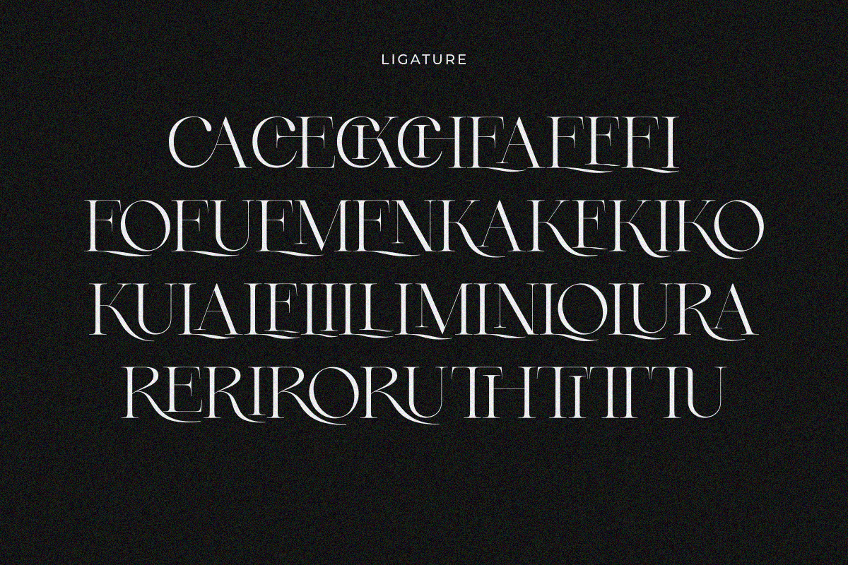 Klyra, a Serif Font by zaaintype (Photo 8 of 10)
