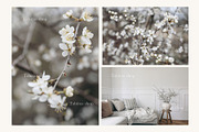 Spring picture frames & card mockups, an Advertising Mockup by Tabita's shop (Thumbnail 8 of 9)