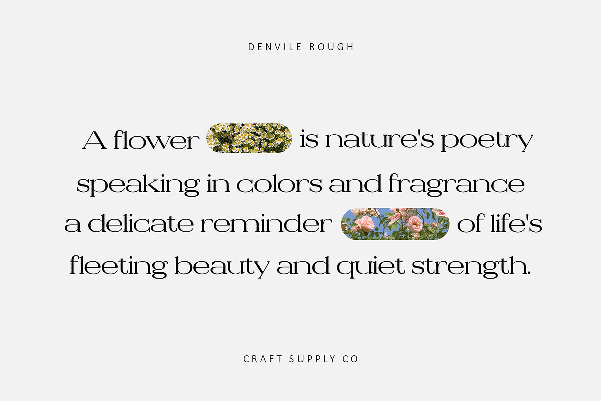 Denvile Rough, a Serif Font by Craft Supply Co. (Photo 4 of 8)