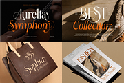 The Ultimate Branding Collection, a Serif Font by saemoon creative (Thumbnail 3 of 13)