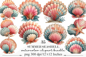 Watercolor Summer Seashell Clipart, an Illustration by Designking