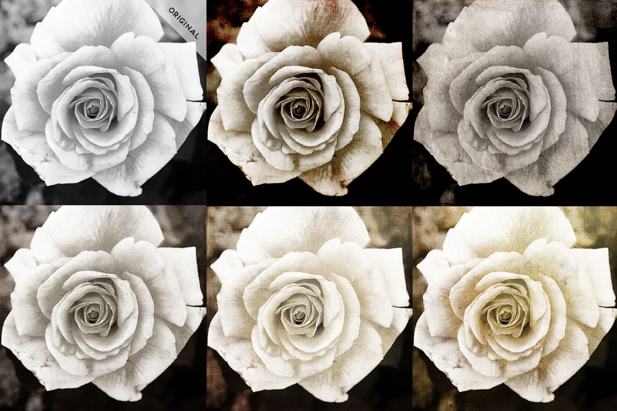 Vintage Paper Textures Apothecary, a Texture Graphic by Eclectic Anthology (Photo 6 of 6)