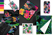 Birds of Paradise graphics/patterns, a Pattern Graphic by Salted Galaxy (Thumbnail 4 of 14)