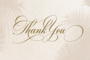 Robinsan - Premium Calligraphy, a Script Font by Silverdav (Thumbnail 16 of 16)