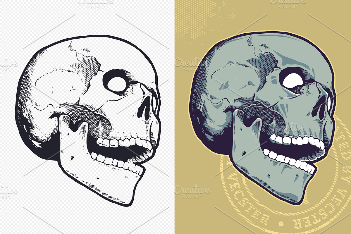 Vintage Vector Skulls Pack, a Decorative Illustration by Vecster (Photo 4 of 6)