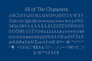 CS Reggie Disco, a Serif Font by Craft Supply Co. (Thumbnail 8 of 8)