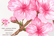 Cherry Watercolor Clipart, an Illustration by BarvArt (Thumbnail 5 of 5)