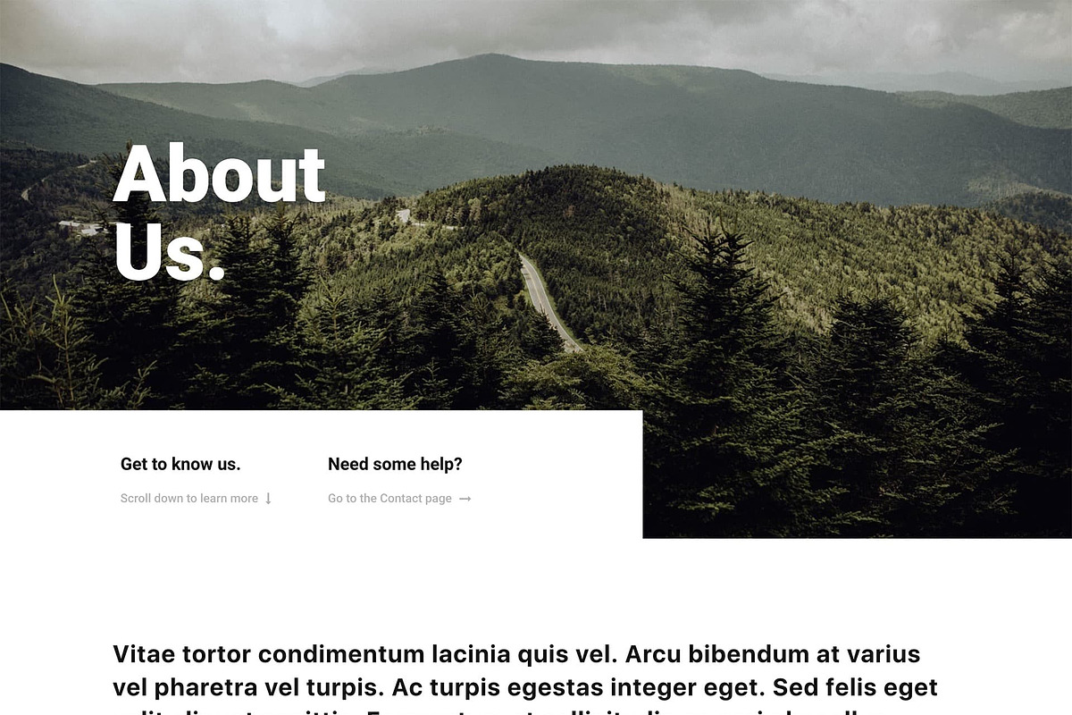 Elementor Landing Page Template, an UI Kit Template by Elementor Market (Photo 2 of 2)
