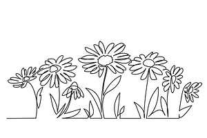 Daisy Flowers Field. Continuous One