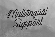 Heatched Monoline Script Font Retro, a Script Font by Maulana Creative (Thumbnail 5 of 7)