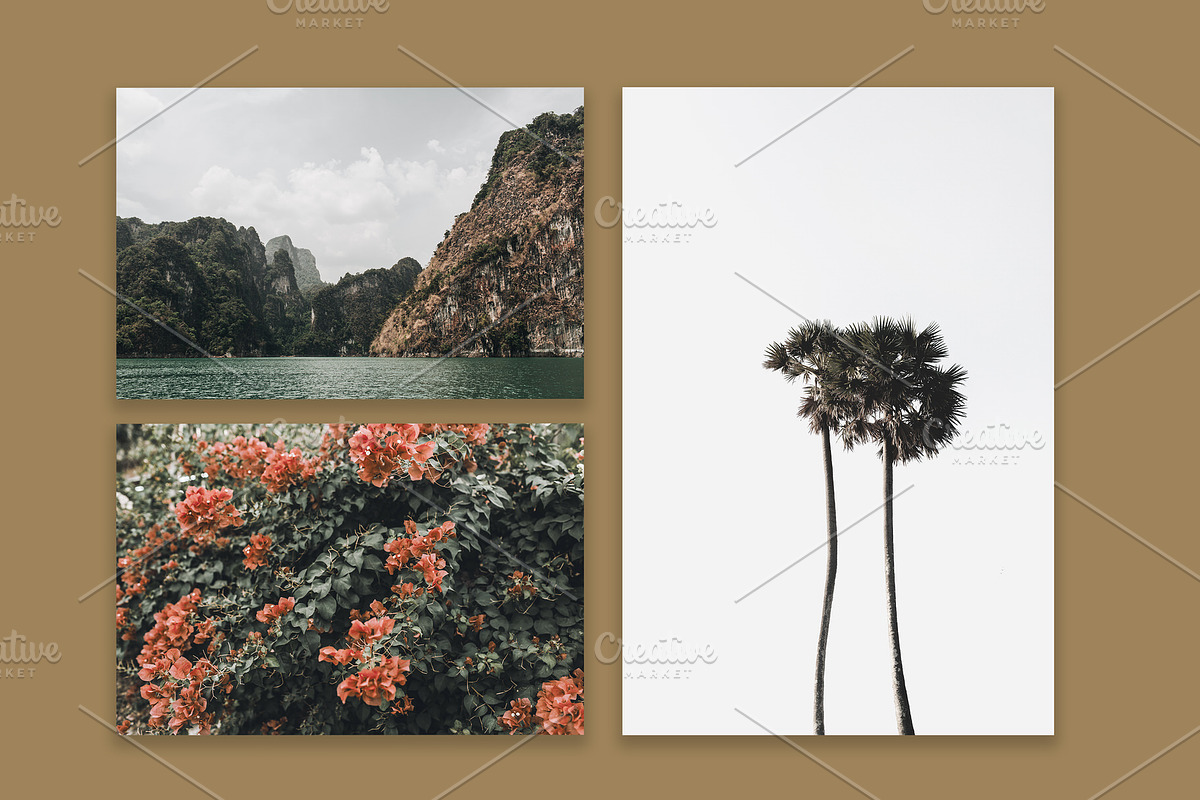 Lifestyle Bundle 26, a Beauty & Fashion Photo by Floral Deco (Photo 5 of 8)
