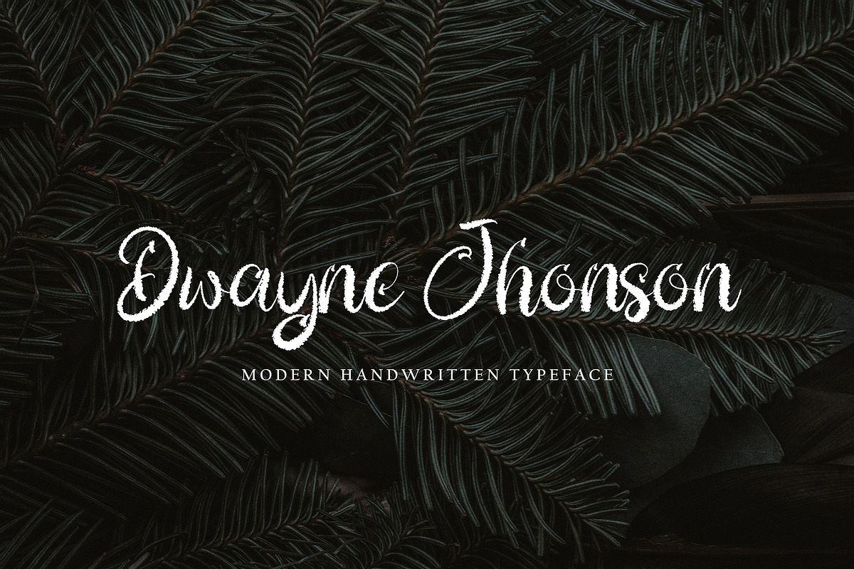 Paulinha, a Script Font by pineungtype (Photo 4 of 6)