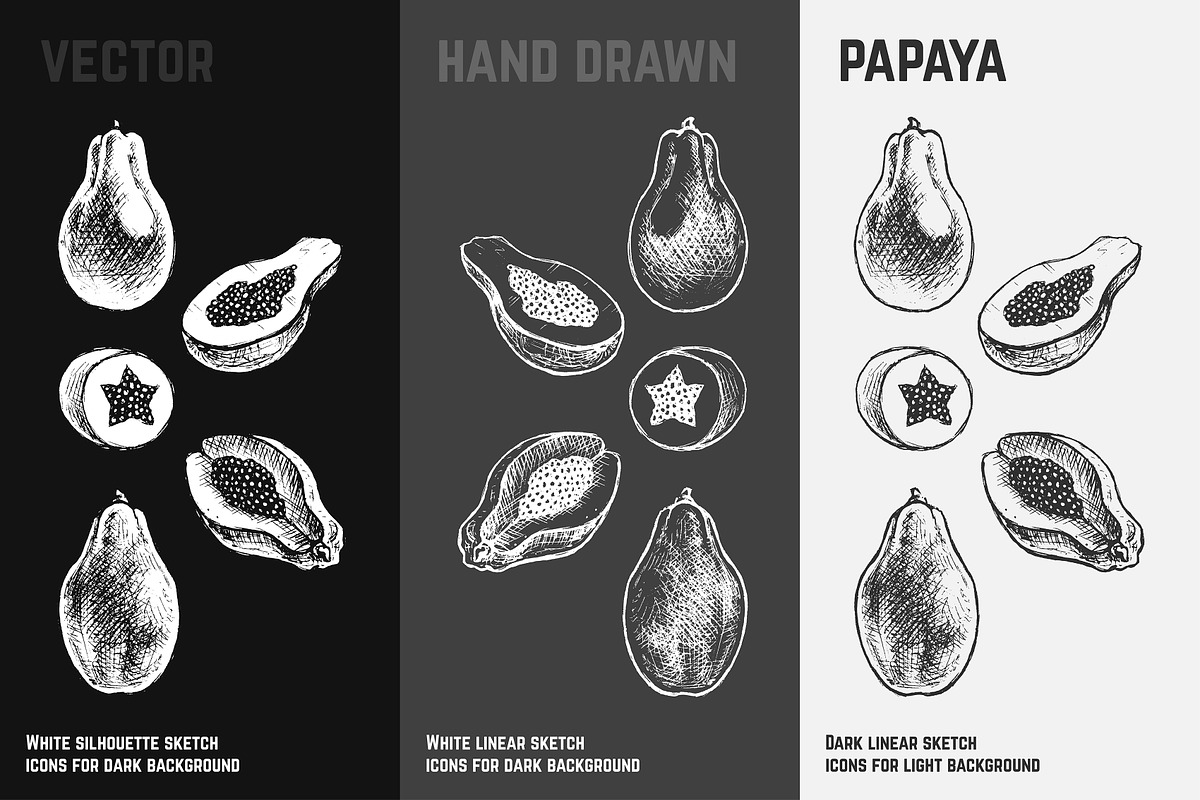 Fruits - hand drawn vector set, a Food Illustration by Margo Miller (Photo 23 of 25)