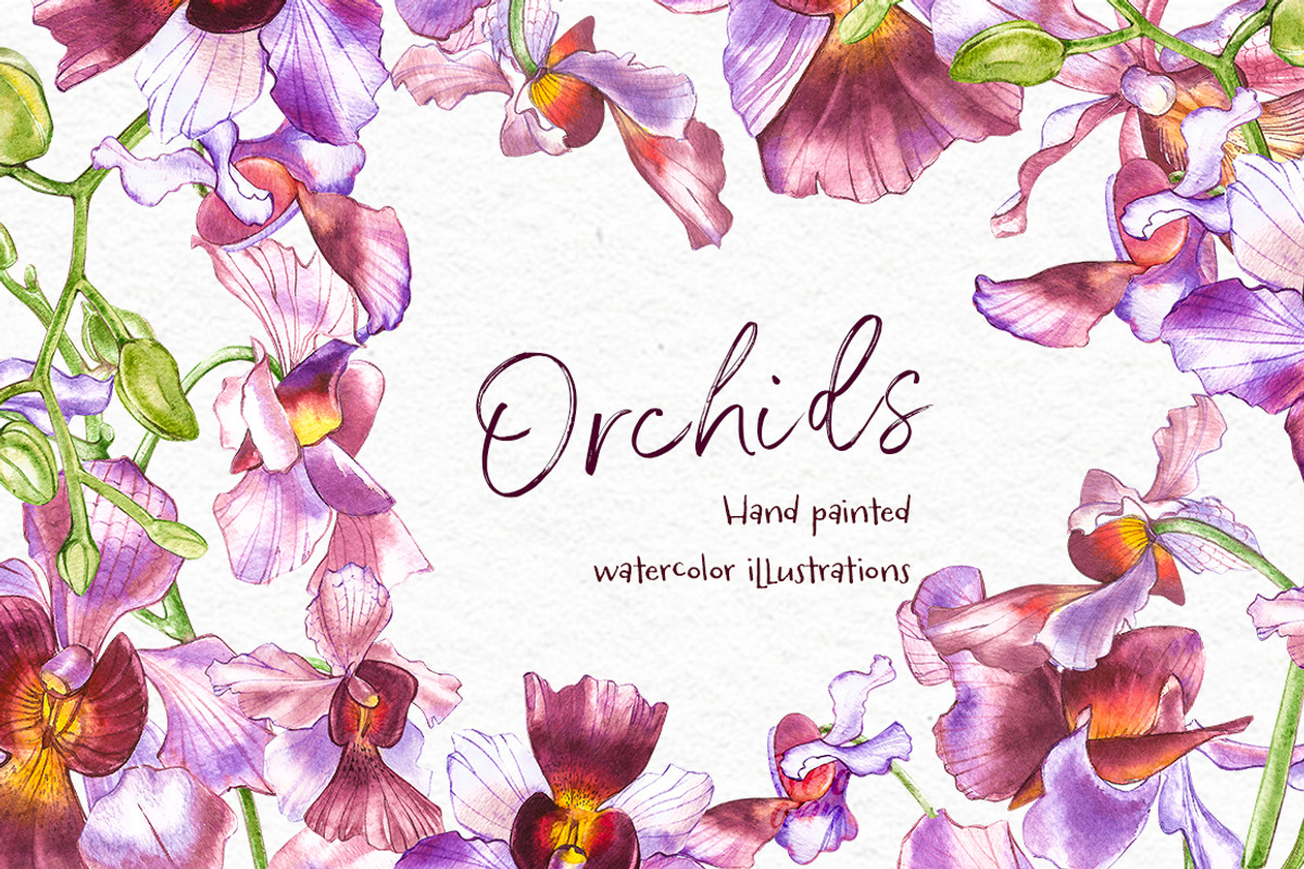 Orchids branch in botanical style, a Decorative Illustration by Ann Astro (Photo 13 of 15)