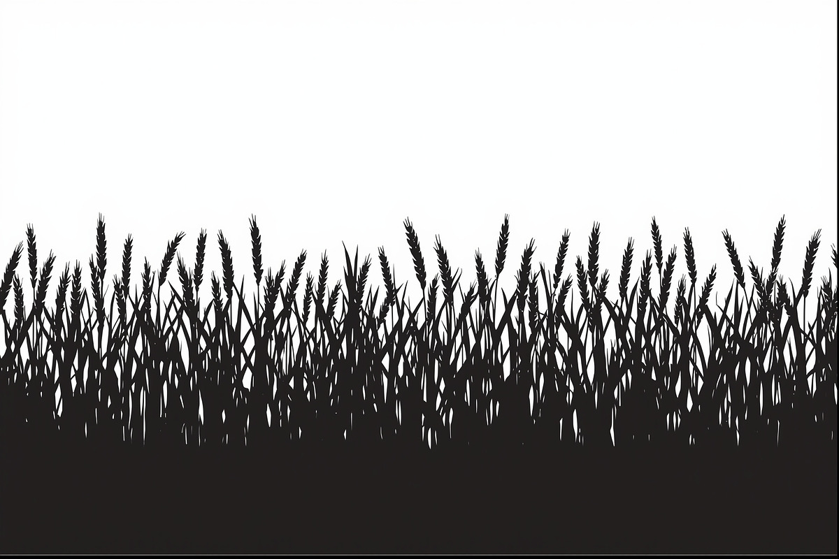 Rustic Wheat Field Vector Borders, an Illustration by hafijul (Photo 8 of 9)