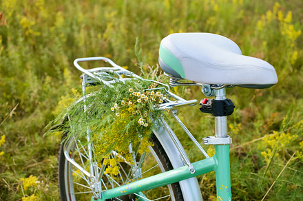 Bicycle with flowers in meadow