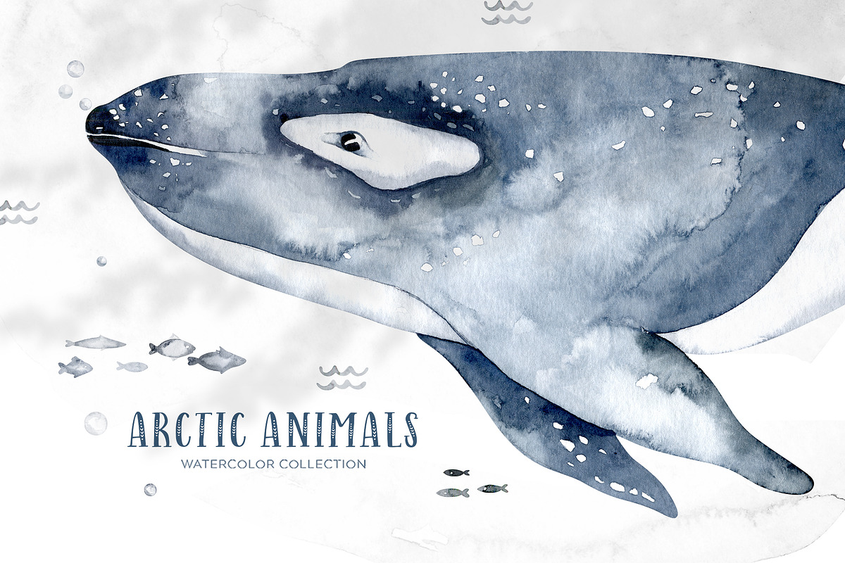 Arctic cute animals.  Watercolor set, an Animal Illustration by Peace ART (Photo 8 of 22)