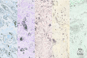 Marble Textures, a Texture Graphic by MatildeGraphics (Thumbnail 3 of 11)