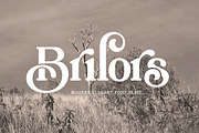 Brilors Serif, a Serif Font by Zane Studio (Thumbnail 1 of 8)