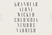 Lorise Font, a Sans Serif Font by vuuuds (Thumbnail 6 of 21)