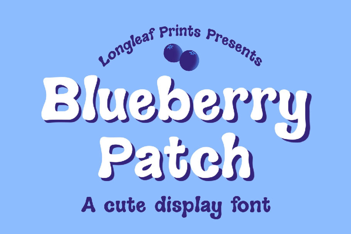 Blueberry Patch Handwritten Font, a Handwritten Font by longleafprints (Photo 1 of 6)