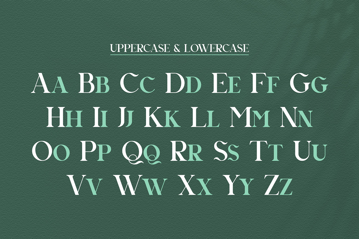 Agnista All Caps Serif Font, a Serif Font by Idea Studio (Photo 10 of 12)