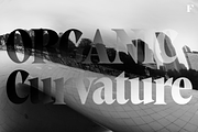 Alto Adige Serif Typeface, a Serif Font by Fenotype (Thumbnail 12 of 14)