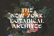 Trendy & Modern Fonts - 10 Sets, a Sans Serif Font by Cruzine (Thumbnail 34 of 55)