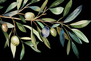 Watercolor Oliva Branch Clipart Png, an Object Graphic by Naty Art (Thumbnail 5 of 8)