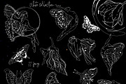 NIGHT MAGIC butterflies women flora, an Animal Illustration by ArtOLB (Thumbnail 6 of 14)