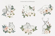 Wild Animals Watercolor Clipart, an Animal Illustration by PawGraphic (Thumbnail 5 of 12)