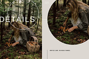 Forest Stock Photos | Moody Woodland, a Nature Photo by Tale.Haus (Thumbnail 18 of 20)