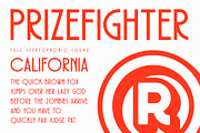 Prizefighter Display, a Sans Serif Font by Vintage Type Company (Thumbnail 8 of 8)