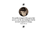 Manchester. Serif family, a Serif Font by Luxfont (Thumbnail 2 of 9)