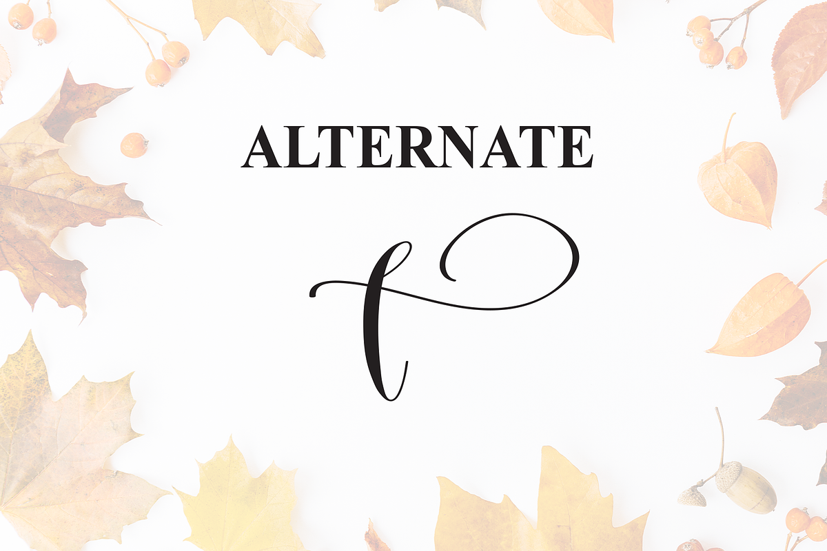 Autumn | Script Font, a Handwritten Font by Scratchones (Photo 8 of 9)