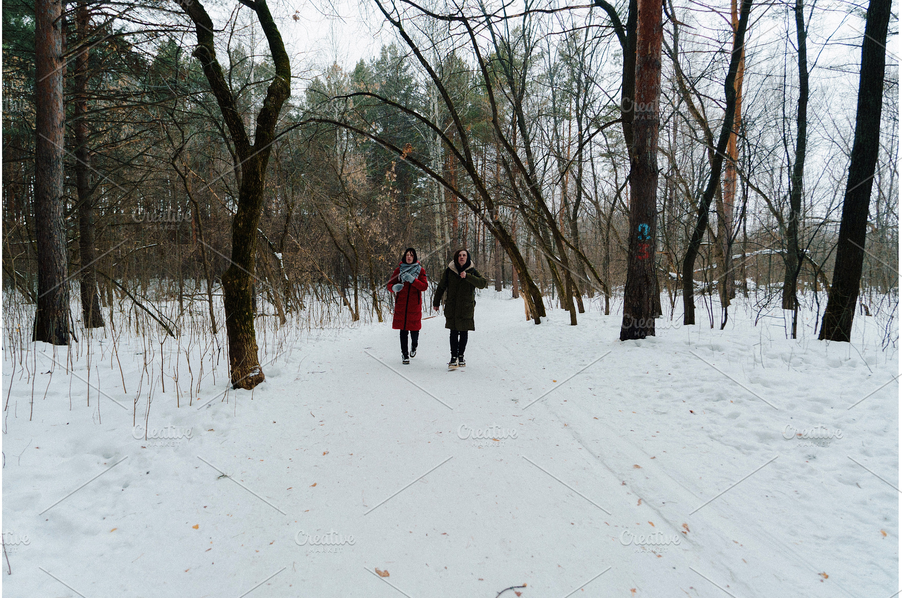 Two people walking in a snowy forest, an Animal Photo by darksoul72