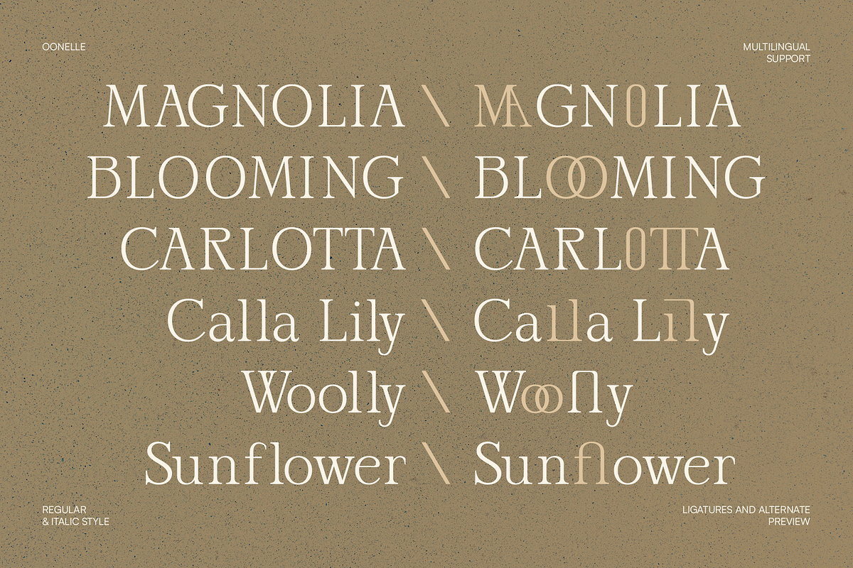 Oonelle - Elegant Serif Display, a Font by Indotype Foundry (Photo 2 of 10)