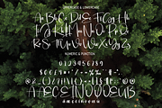Woodland | Script Font, a Script Font by Scratchones (Thumbnail 7 of 8)