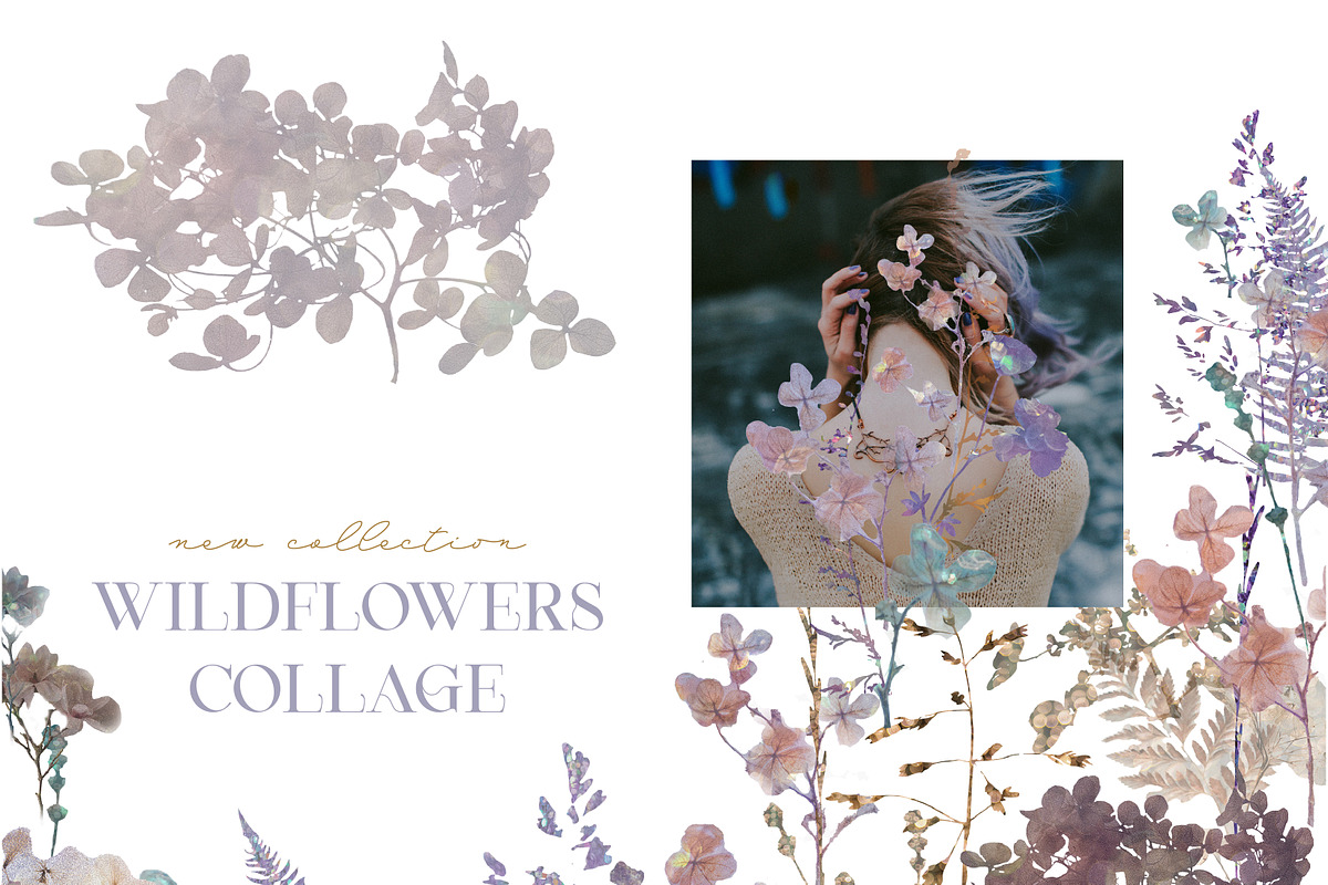 Wildflowers collage collection, a Texture Graphic by Anna Sokol (Photo 7 of 21)