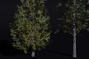 The Siberian Larch Tree, a Plants & Tree 3D Model by FuturePastCreatives