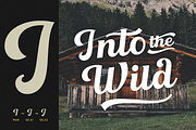 Landre, a Script Font by Larin Type Co. (Thumbnail 6 of 10)