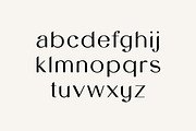 Sanctimony Elegant Serif Font, a Serif Font by UICreative (Thumbnail 6 of 13)