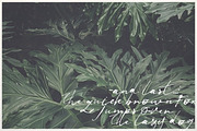 Jenna Jenkins Script, a Script Font by BlueRobinDesignShop (Thumbnail 6 of 8)