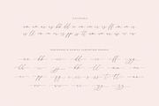 Central Garden Calligraphy Font, a Script Font by Seagulls Creative (Thumbnail 10 of 10)