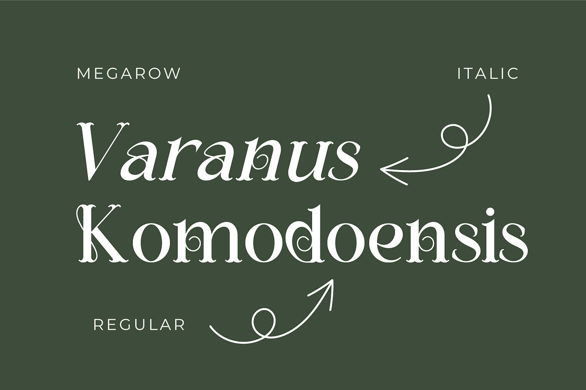 Megarow, a Serif Font by Rishsketch (Photo 4 of 13)