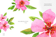 Spring flowers watercolor clipart, an Illustration by Brandianna (Thumbnail 6 of 9)